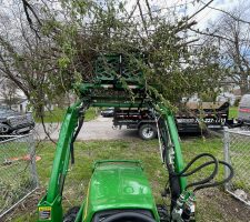 Landscaping - debris removal and disposal